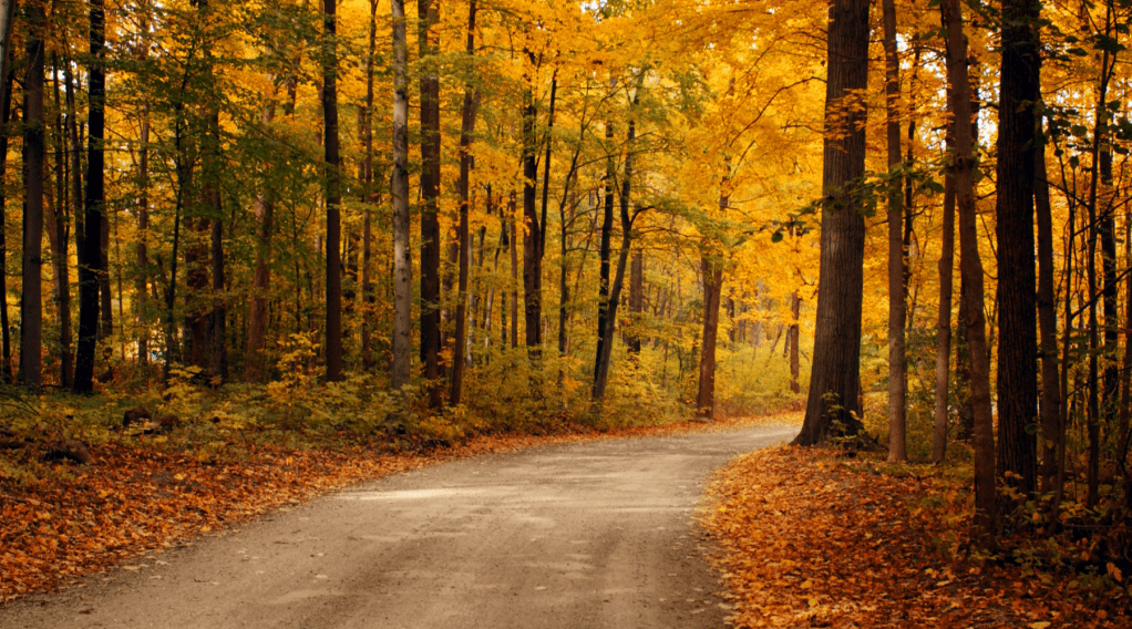 The Unwind Windham Fall Bucket List