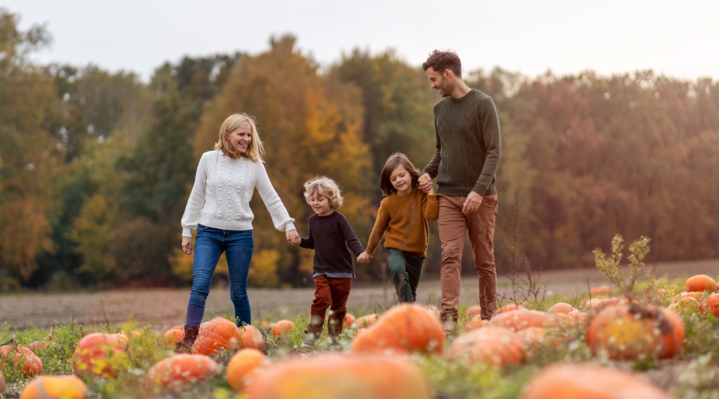 Best Apple Picking, Pumpkin Patches, & Farm-to-Table Finds Near Windham